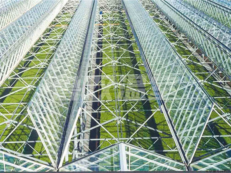 玻璃溫室的降溫